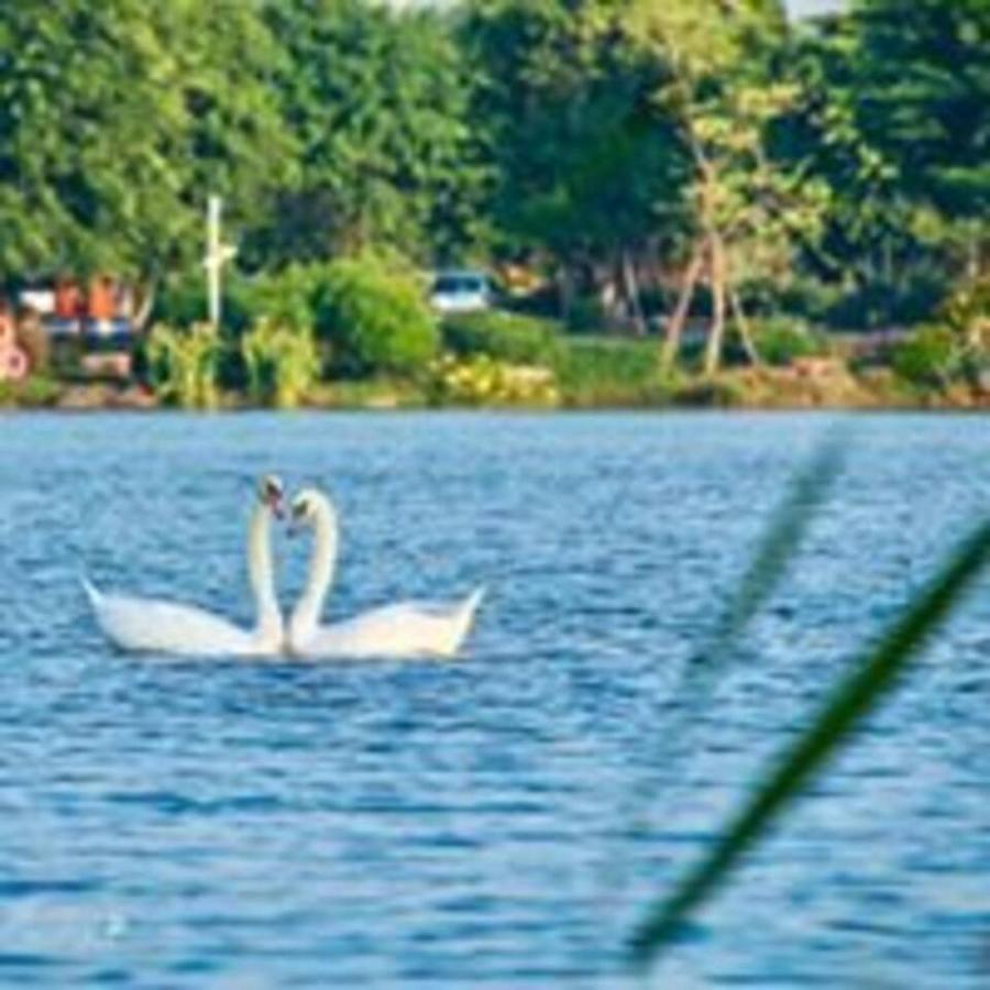 Sue Homestay Ecopark Hung Yen Экстерьер фото